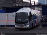Transportes El Pino S.A. - TEPSA (Per) 681