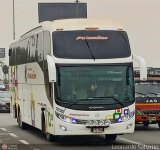 Expreso Internacional Palomino 7030