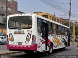 Consorcio Roma (Per)