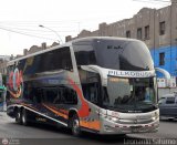Transportes GM Internacional (Per) 967, por Leonardo Saturno