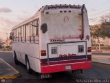 Expresos La Gran Colombia 11