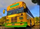 Transporte Panamericano 01