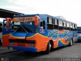 Lnea Sanare 09, por J. Carlos Gmez