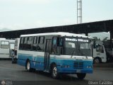A.C. Unin Barquisimeto 14