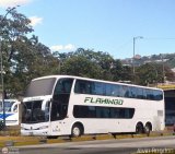 Expresos Flamingo 0141, por Alvin Rondn