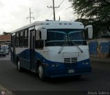 A.C. de Transporte Encarnaci�n 175