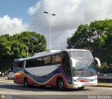 Los Reyes del Centro 25, por Alvin Rondn