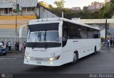 Expresos Pegamar 0016