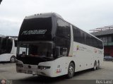Expresos Flamingo 0006, por Bus Land