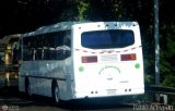 Servicios Especiales del Centro C.A. 40