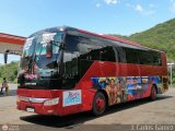 Sistema Integral de Transporte Superficial S.A 6541