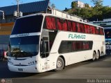 Expresos Flamingo 0095