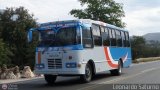 Colectivo Los Andes (Mrida - El Vigia) 08