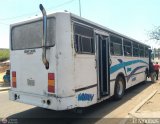 Colectivos Guasare C.A 30, por El Niobs