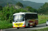 Unin Victoria 36, por Pablo Acevedo
