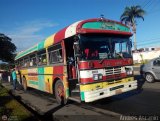 Transporte Colectivo Palo Negro 043