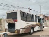 Coop. Transporte Menca de Leoni 050 por M�guel Pino