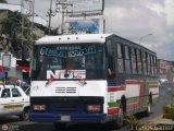 Expresos Pegamar 0013