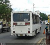 MI - Lnea Terepaima 114