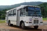 Unin Conductores Cantalicio 21, por Miguel Vidal