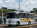 Particular o Desconocido 051 por M�guel Pino