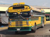 ZU - Colectivos Concepcin 102, por Sebastin Mercado
