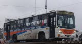 E.T.S. Salvador S.A.C. 046 Metalbus CasiTorino 1 Mercedes-Benz OF-1721