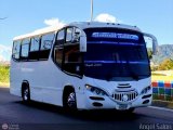 S.C.C. Expresos Sucre 100 por �ngel Sal�n