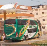 Turismo Reyna (Per) 312, por Leonardo Saturno