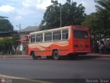 AR - Coop. Padre Machado 50