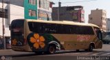 Transporte Flores Hermanos S.R.L (Per) 969,, por Leonardo Saturno
