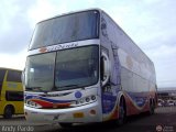 Expresos Occidente 137