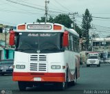 S.C. Valle de Qu�bor 90