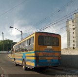 Transporte Privado Joaranny 183