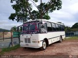 Transporte Tren al Sur C.A. 01, por Javier Parmalat 