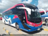 Expreso Brasilia 10206, por Sebastin Mercado