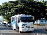 A.C. Unin Palo Negro (U.P.N.) 035, por Aly Baranauskas