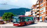 Trolmerida - Tromerca 02, por Andrs Figuera