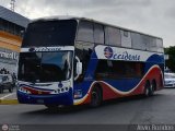 Expresos Occidente 395 por Alvin Rond�n