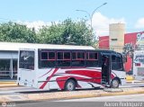 S.C. L�nea Qu�bor 33 por Aaron Rodr�guez