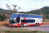 Expresos Occidente 001