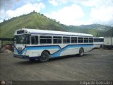 Particular SMNB-07, por Edgardo Gonzlez
