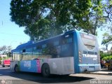 Trans Sucre 5405, por Luis Bentez