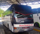 Cruceros Oriente Sur 101, por Michael Caraballo