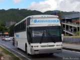Expresos Bayavamarca 