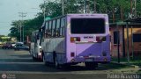 A.C. Transporte Campesino 00, por Pablo Acevedo