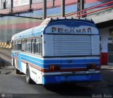 Expresos Pegamar 0017