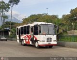 DC - AsoCoproColectivos 600, por Jonnathan Rodrguez