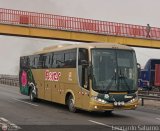 Transporte Flores Hermanos S.R.L (Per) 957