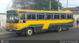 ZU - Colectivos Concepcin 045, por Angel Delgado